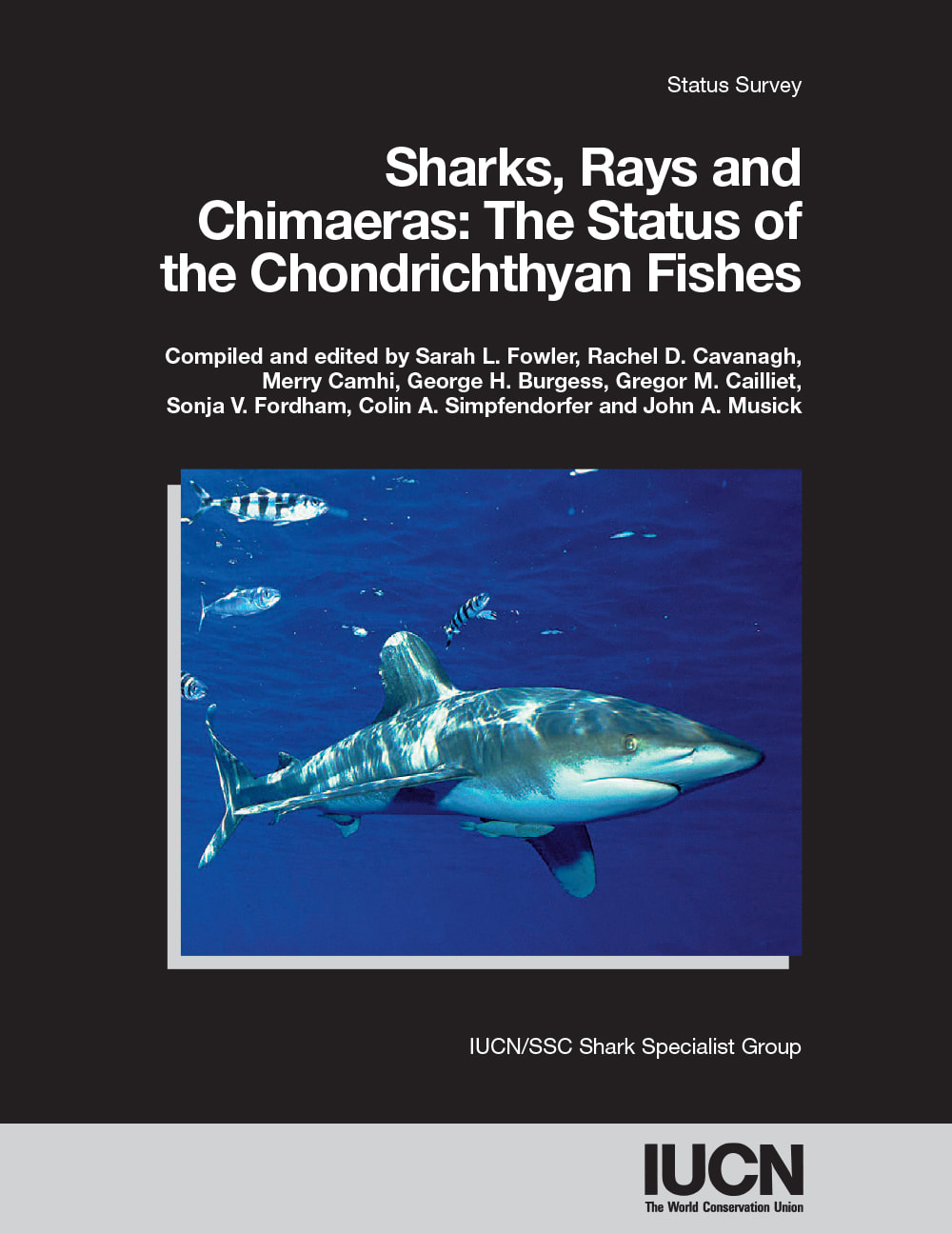 Sharks, Rays and Chimaeras: The Status of the Chondrichthyan Fishes