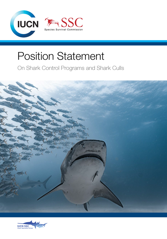 Adopt a Shark  Shark Angels - Shark Conservation Group