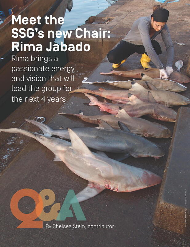 News - IUCN SSC Shark Specialist Group
