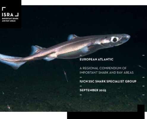 isra-region-02-european-atlantic-compendium-pdf-cover_orig