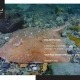 isra-region-1-polar-waters-compendium-cover_orig