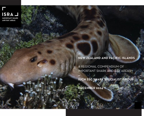 new-zealand-and-pacific-islands-cover-page_orig
