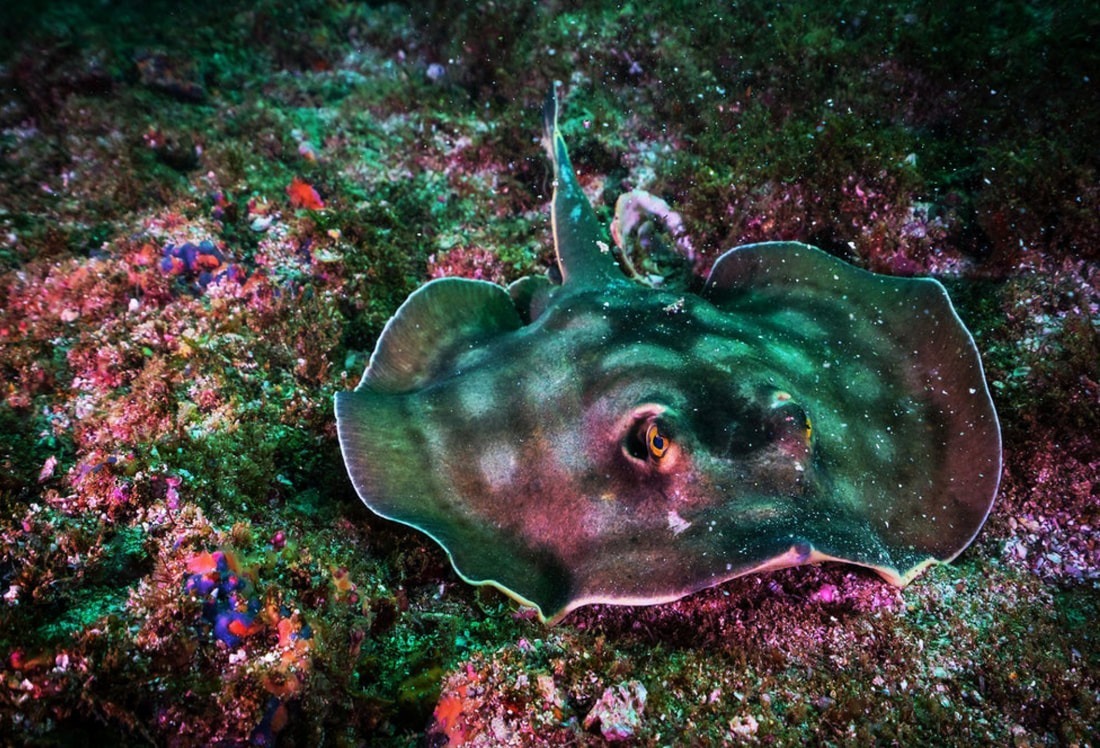 worldwatermuseum-4x677_orig